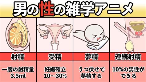 夢精 割合|射精と性行動に関する調査（第2回）～概要 